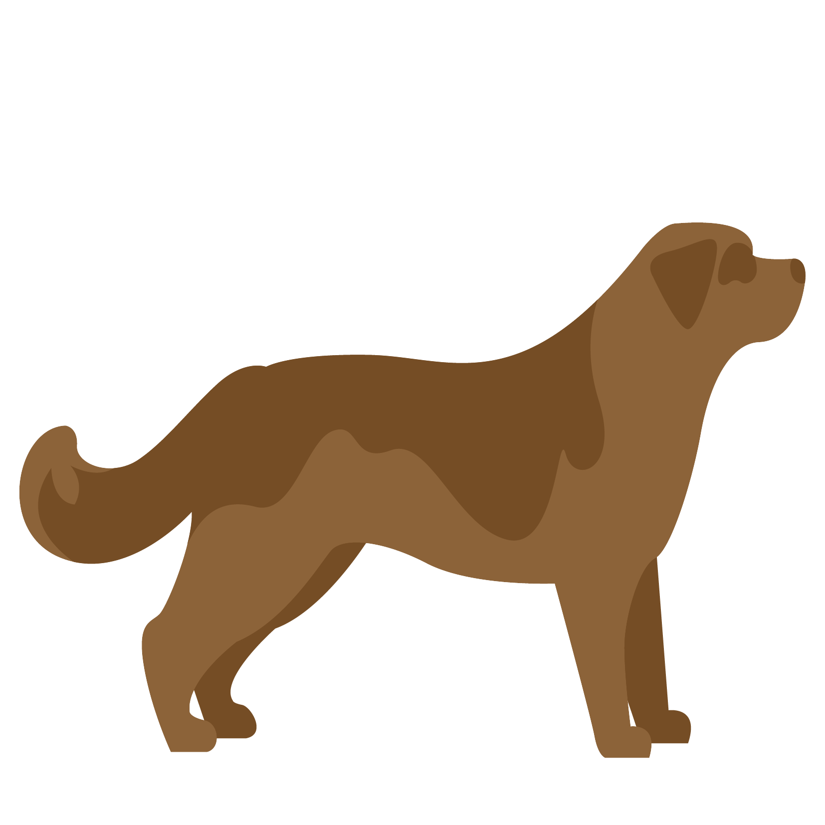 adult dog