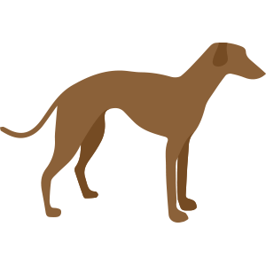 large dog