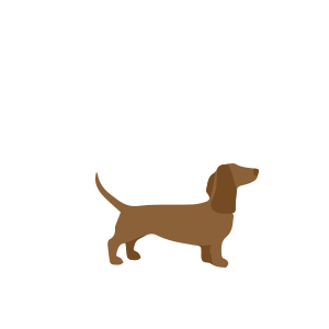 small dog